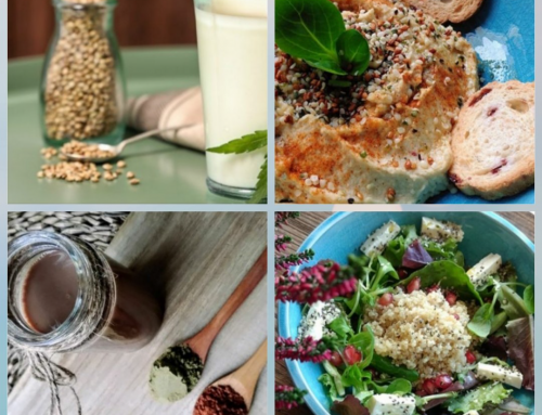 Receta saludable: Ensalada de quinoa con semillas de cañamón y chía