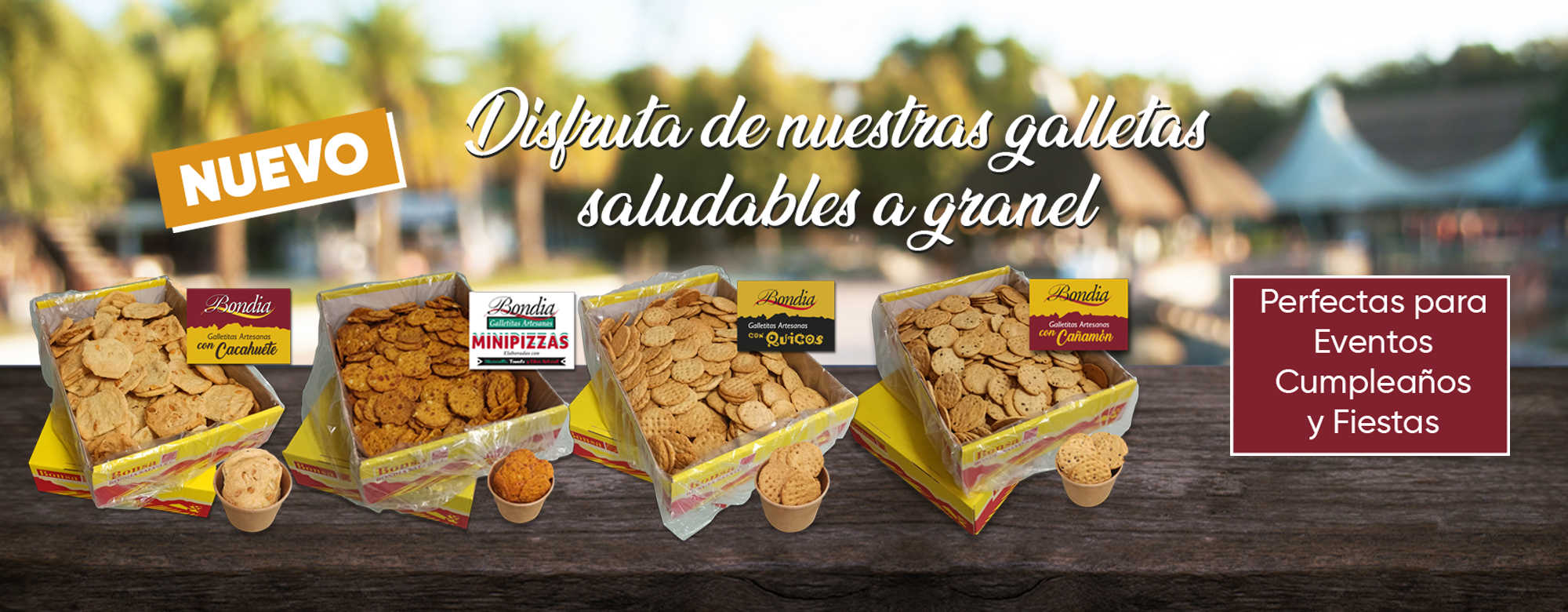 Galletas, snacks y aperitivos a granel para eventos BONSA Galletas, snacks y aperitivos a granel para eventos BONSA