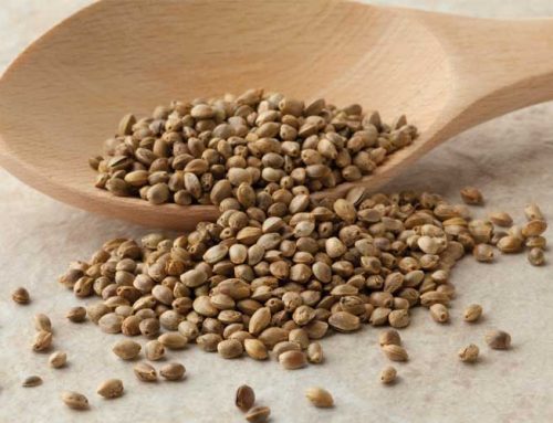 ¿Qué beneficios nutricionales tiene el cáñamo?